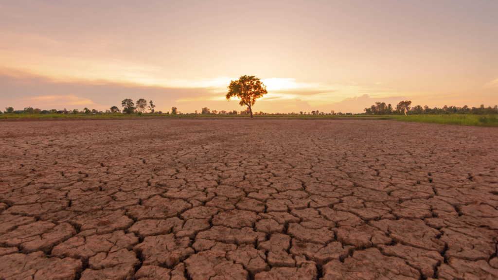 Apa itu El Nino: Pengertian, Penyebab, dan Dampaknya